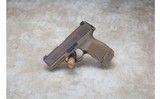 Sig Sauer ~ P365 ~ 9mm Luger - 3 of 3