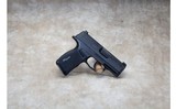 Sig Sauer ~ P365 ~ 9mm Luger - 2 of 3