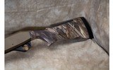 Stoeger ~ M3500 ~ 12 Gauge - 9 of 10