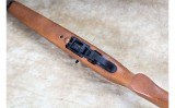 Ruger ~ 10/22 Carbine ~ .22 Long Rifle - 10 of 11