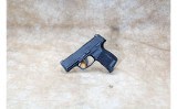 SIG Sauer ~ P365 380 ~ .380 ACP - 3 of 3