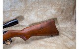 Ruger ~ 10/22 Carbine ~ .22 Long Rifle - 9 of 10
