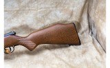 Savage ~ 93R17 ~ .17 HMR - 9 of 10