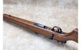 Savage ~ 93R17 ~ .17 HMR - 10 of 10
