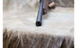 Savage Arms ~ 93R17 GV ~ .17 HMR - 10 of 10