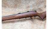 Savage Arms ~ 93R17 GV ~ .17 HMR - 7 of 10