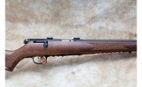 Savage Arms ~ 93R17 GV ~ .17 HMR - 4 of 10