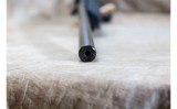 Savage Arms ~ A17 ~ .17 HMR - 6 of 10