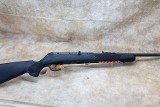 Savage Arms ~ 64F ~ .22 Long Rifle