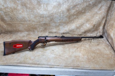 Savage Arms ~ B22 G Series ~ .22 Long Rifle