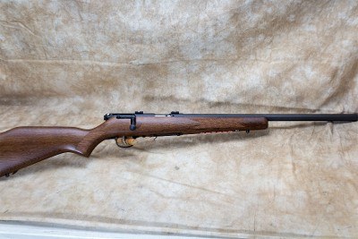 Savage Arms ~ 93R17 GV ~ .17 HMR