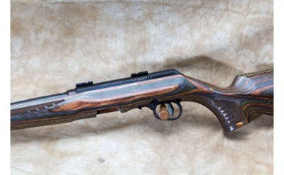 Savage ~ A22 ~ .22 Long Rifle - Image 8 of 10