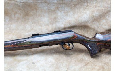 Savage Arms ~ A22 ~ .22 Long Rifle - Image 8 of 10
