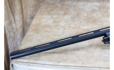 Savage ~ Renegauge Field ~ 12 Gauge - Image 7 of 10