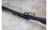 Rossi ~ Rio Bravo ~ .22 Long Rifle - 10 of 10