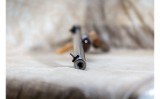 Browning ~ SA-22 Grade I ~ .22 Long Rifle - 6 of 10