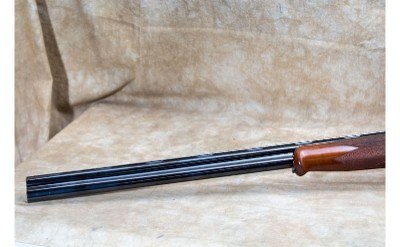 Caesar Guerini ~ Tempio Light ~ 20 Gauge - Image 7 of 10