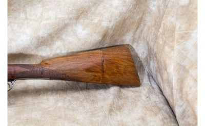 W.W. Greener ~ None ~ 12 Gauge - Image 9 of 10