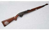 Remington Arms ~ Nylon 66 ~ .22 Long Rifle - 1 of 10