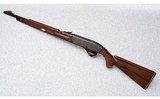 Remington Arms ~ Nylon 66 ~ .22 Long Rifle - 10 of 10