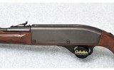 Remington Arms ~ Nylon 66 ~ .22 Long Rifle - 8 of 10