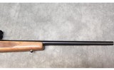 WINCHESTER ~ MODEL 670 ~ .243 WINCHESTER - 8 of 8