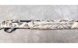 BENELLI ~ MONTEFELTRO ~ 12 GAUGE - 3 of 7
