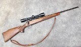 REMINGTON ARMS CO. ~ 700 ~ .22-250 REMINGTON