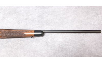 REMINGTON ARMS CO. ~ 700 CDL ~ .243 WINCHESTER - Image 8 of 8