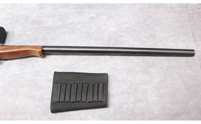 NEW ENGLAND FIREARMS ~ 1871 ~ .45-70 GOVERNMENT - Image 9 of 9