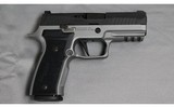 SIG Sauer~P320 AXG Carry~9mm - 1 of 3