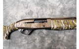 Pointer ~ Phenoma ~ 12 Gauge - 4 of 8