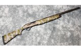 Pointer ~ Phenoma ~ 12 Gauge - 1 of 8