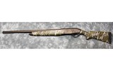 Pointer ~ Phenoma ~ 12 Gauge - 2 of 8