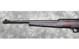 Winchester ~ Wildcat ~ .22LR - 6 of 6