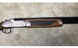 Pointer ~ Acrius ~ 20 Gauge - 7 of 9
