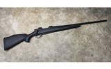 Weatherby ~ Vanguard ~ .243 Win - 1 of 8