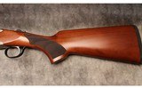 Pointer ~ Acrius ~ 20 Gauge - 9 of 10