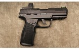 Sig Sauer ~ P322 ~ .22 Long Rifle