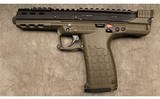 Kel-Tec ~ CP33 ~ .22 Long Rifle - 2 of 2