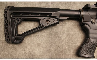 Savage ~ MSR-10 ~ 6.5 Creedmoor