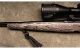 Savage ~ A17 ~ .17 HMR - 6 of 10