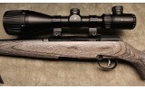 Savage ~ A17 ~ .17 HMR - 8 of 10