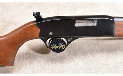 WINCHESTER ~ 190 CARBINE~ .22 S, L OR LR - Image 3 of 11