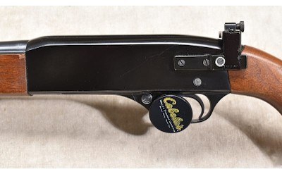 WINCHESTER ~ 190 CARBINE~ .22 S, L OR LR - Image 9 of 11