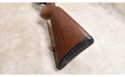 WINCHESTER ~ 190 CARBINE~ .22 S, L OR LR - Image 11 of 11