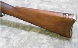~U.S. Springfield 1873~ .45-70 Govt - 10 of 10