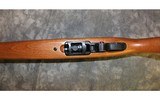 Ruger 10/22 - 8 of 10