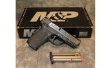 Smith & Wesson M&P9 Shield EZ - 1 of 6