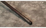 CZ Model 527 American .17 HMR - 5 of 10